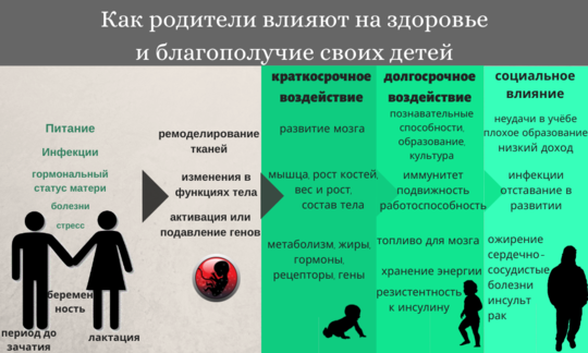 Последствия условий окружающей среды в раннем возрасте для здоровья и появления болезней.