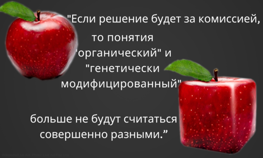 Коллаж из двух яблок с текстом: Политические комиссии хотят объединить понятия органический и ГМО.