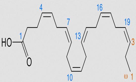 Fórmula estructural de DHA en conformación no lineal con numeración de ambos extremos.