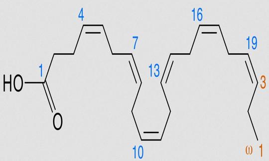 Strukturformel von DHA in nichtlinearer Konformation mit Nummerierung von beiden Enden her.