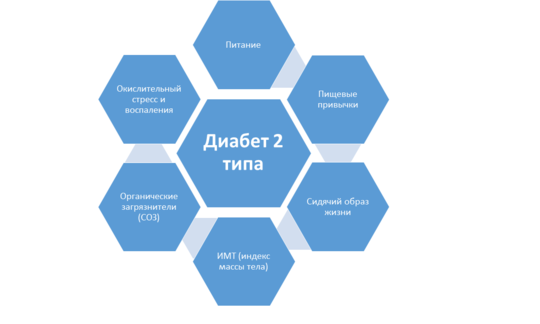 Факторы, оказывающие прямое влияние на диабет 2 типа в семи голубых гексагонах, по Хофе С.Р., 2014 г Факторы, оказывающие прямое влияние на диабет 2 типа в семи голубых гексагонах, по Хофе С.Р., 2014 г