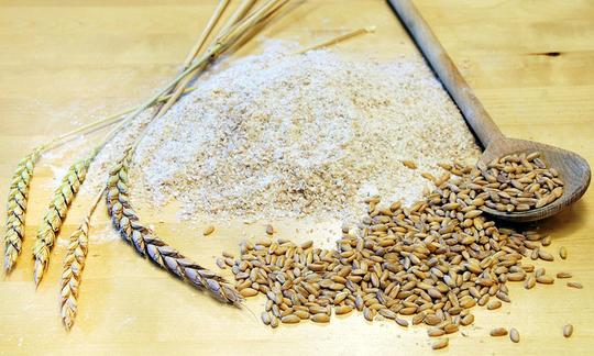 Мука спельты цельнозерновая - Triticum aestivum L. subsp. spelta - горка на столе, колосья и зёрна. Мука спельты цельнозерновая - Triticum aestivum L. subsp. spelta - горка на столе, колосья и зёрна.