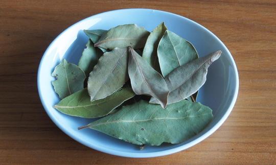 Alloro in una ciotola: l'alloro è usato come pianta medicinale e come spezia. Il suo sapore caratteristico è dovuto all'olio essenziale che contiene.