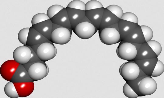 A space-filling molecular model of eicosapentaenoic acid (EPA).