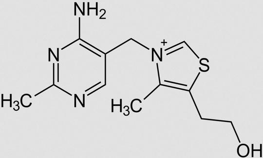 Structure of thiamine (vitamin B1)
