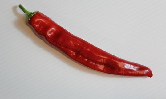 Красный венгерский стручковый перец (Capsicum annuum) на светлом фоне. Красный венгерский стручковый перец (Capsicum annuum) на светлом фоне.