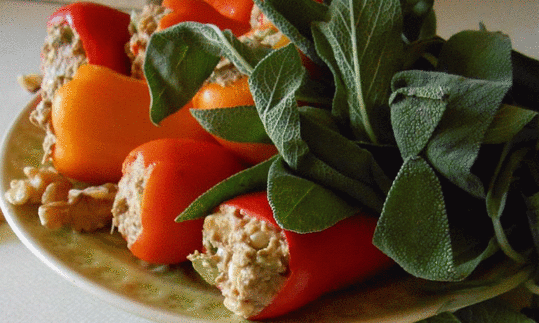 Imagen de la receta «Pimientos rellenos de champiñones y nueces», del blog «Tilias Rohkostleben».
