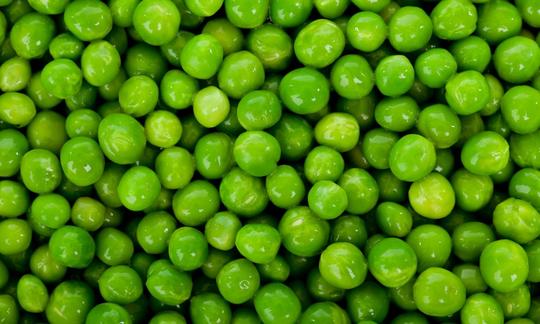 Pisum sativum: Arvejas individuales sin conchas o vainas muy juntas.