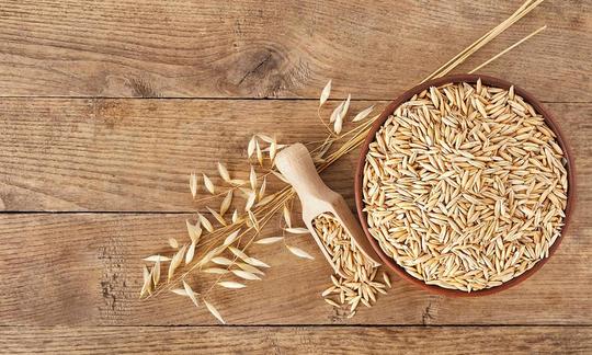 Avena. Avena sativa L.: a la izquierda, la avena en su espiga; a la derecha, una cuchara de medir y un cuenco de madera llenos de granos de avena. Avena como espigas de trigo izquierda, granos de avena en una cuchara medidora y una olla.