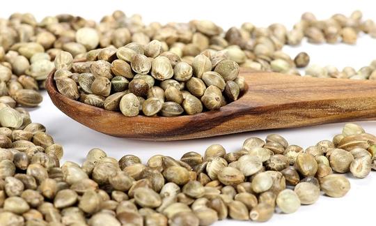 Семена конопли для сыроедов марихуана в каком списке