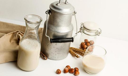 Haselnussmilch in Milchkanne, Karaffe und Trinkglas; daneben einzelne Haselnüsse. Haselnussmilch in Milchkanne, Karaffe und Trinkglas; daneben einzelne Haselnüsse.