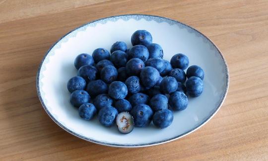 Blueberries contain stress-reducing ingredients and are easy to dry or freeze. The anthocyanins give them their reddish blue color that can stain your teeth. Cultivated blueberries on a plate. Anthocyanins cause red-blue discoloration.