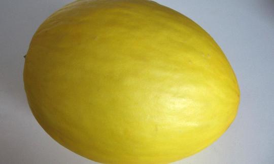 Eine rohe Honigmelone (Cucumis melo var. inodorus) auf weissem Hintergrund. Eine rohe Honigmelone (Cucumis melo var. inodorus) auf weissem Hintergrund.