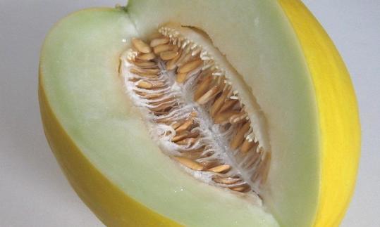 Angeschnittene, rohe Honigmelone (Cucumis melo var. inodorus) mit leuchtend gelber Schale. Angeschnittene, rohe Honigmelone (Cucumis melo var. inodorus) mit leuchtend gelber Schale.