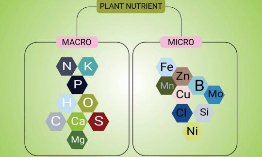 Nutrients (vitamins and elements) are important for our health. Never as a harmful maximum.