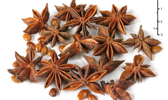 Real Star Anise - Illicium verum: Scatters whole stars and single seeds from them. Real Star Anise - Illicium verum: Scatters whole stars and single seeds from them.