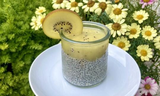 Rezeptbild vom angerichteten "Roh-veganen Chiapudding mit Kiwi-Coulis".