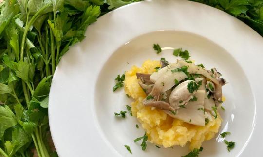 Photo of the prepared "oil-free steamed mushrooms with parsley and swede puree".