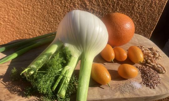 Foto bereitgestellter Zutaten für den "Fenchel-Kumquat-Salat ohne Öl".