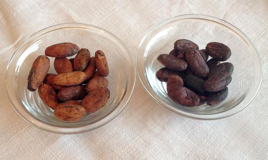 Rohe Kakaobohnen in Glasschalen, links mit Haut, rechts ohne - für rohe Schokoladencrème.