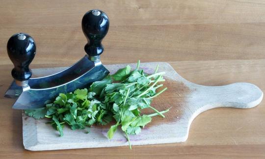 Cilantro (fresh coriander) - Coriandrum sativum: on a cutting board with a double-bladed mezzaluna on the left Coriander leaves, raw - Coriandrum sativum: On kitchen board with double cradle left beside it.