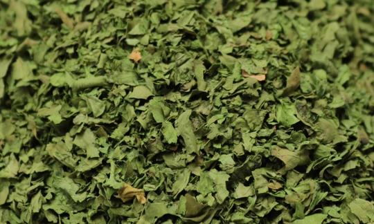 Coriander leaves, dried - Coriandrum sativum - layered. Coriander leaves, dried - Coriandrum sativum - layered.