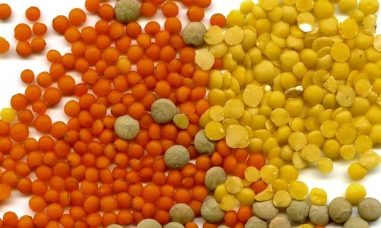 Hülsenfrüchte, roh, unbehandelt: Verschiedenfarbige Linsen - Lens culinaris - mit der Mehrzahl roter Linsen auf der linken Seite. Geschälte rote und gelbe Linsen, grüne Tellerlinsen.