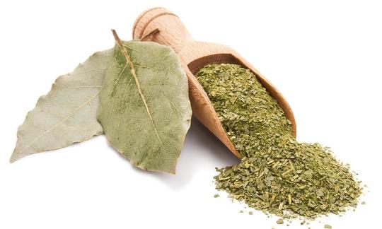 Laurel. Laurus nobilis: due foglie a sinistra. A destra, una pala di legno con foglie di alloro tritate.