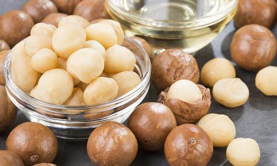 Macadamia nut, raw: cracked macadamia in shell, next to uncooked and macadamia oil.