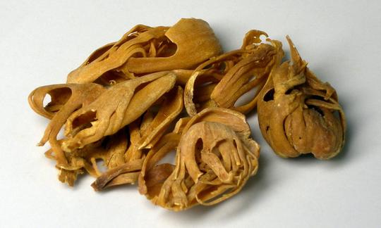 Высушенная булава (семенная оболочка или «булава») мускатного ореха (Myristica fragrans). Высушенная булава (семенная оболочка или «булава») мускатного ореха (Myristica fragrans).