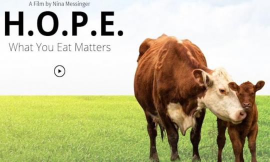 Hope for all is a powerful movie that depicts the impact meat consumption has on people’s health,