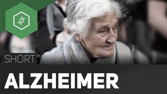 Alzheimer ist verantwortlich für 60% aller Demenzerkrankungen weltweit. Dieses Video erklärt die Hauptursachen, Symptome und Verlauf dieser Art Demenz.