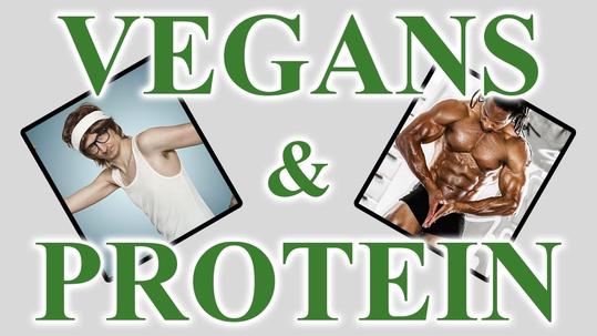 There is still a lot of concern about how much protein people need in their diet, what is the best protein source and if vegans can get enough of it.