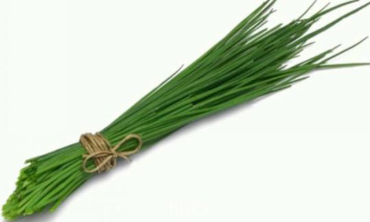 Raw, untreated chives (Allium schoenoprasum) as a bundle on a light background. Raw, untreated chives (Allium schoenoprasum) as a bundle on a light background.