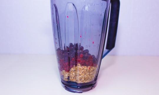Ingredientes para el "batido de frutos rojos" en la licuadora - antes de agregar el agua.