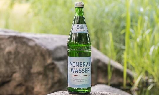 Mineralwasser: Flasche mit Mineralwasser auf Felsen, dahinter Pflanzen.