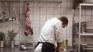 The website "Beyond Carnism.org" shows the shocking video "First European restaurant to serve cats?"