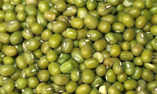 Primo piano dei fagioli mung crudi (Vigna radiata), un importante alimento base in India.