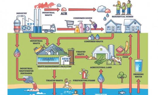 Grafik über PFAS: Entstehung, Verteilung, Einbau in Organismen, Weg in unseren Körper.