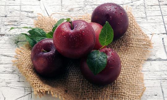 Algunas ciruelas pasas en saco de yute - Prunus domestica var. subrotunda Algunas ciruelas pasas en saco de yute - Prunus domestica var. subrotunda