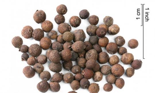 Allspice grains - Pimenta dioica - on a white background. The spice is also available ground. Allspice grains - Pimenta dioica - on a white background. The spice is also available ground.