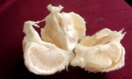 Geschälte Pomelo-Segmente mit Zwischenwänden, noch nicht von der Fruchthaut befreit. Geschälte Pomelo-Segmente mit Zwischenwänden, noch nicht von der Fruchthaut befreit.