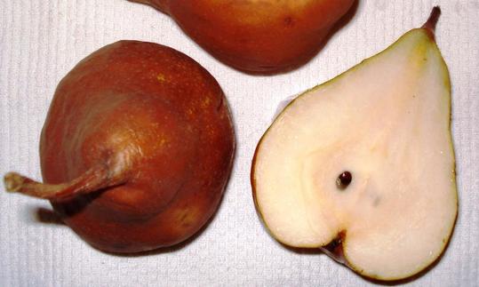 Frutas crudas, sin procesar: pera bosc, cruda. Pyrus communis Peras bosc crudas, una entera (izquierda) y la otra cortada por la mitad (derecha).