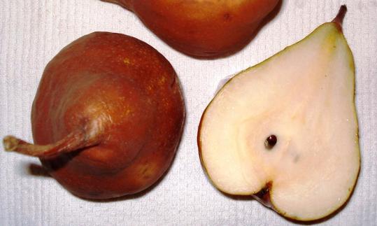 Meet Bosco  Pears benefits, Organic recipes, Pear