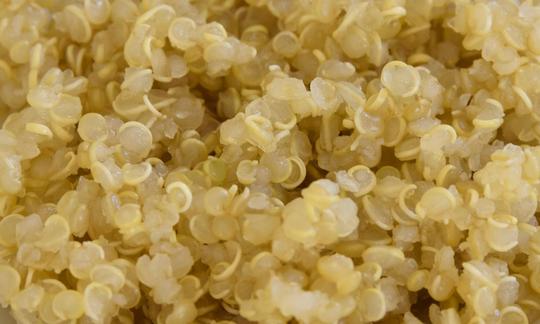 Quinoa, cooked | Foundation G+E