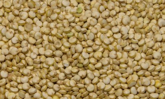 Quinoa secca (Chenopodium Quinoa Willd.), primo piano della quinoa bianca non trattata. Quinoa secca (Chenopodium Quinoa Willd.), primo piano della quinoa bianca non trattata.