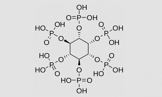 La estructura bidimensional del ácido fítico (IP6, fitato) se parece al volante de un barco.