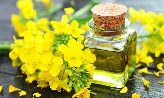 Aceite de canola en un frasco rodeado de flores. El aceite de canola se extrae de las semillas.