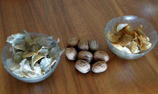 Versuche mit rohen Kartoffel-Chips: links mit Pflanzenöl, rechts mit Senf. Baumnüsse zum Grössenvergleich.