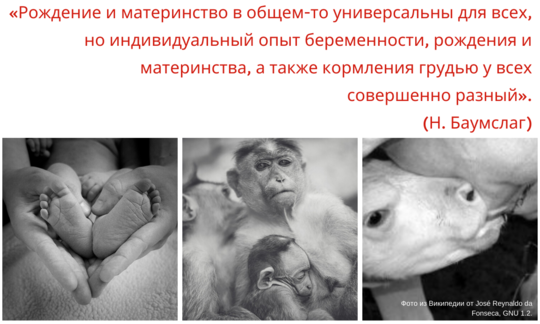 рождение и материнство